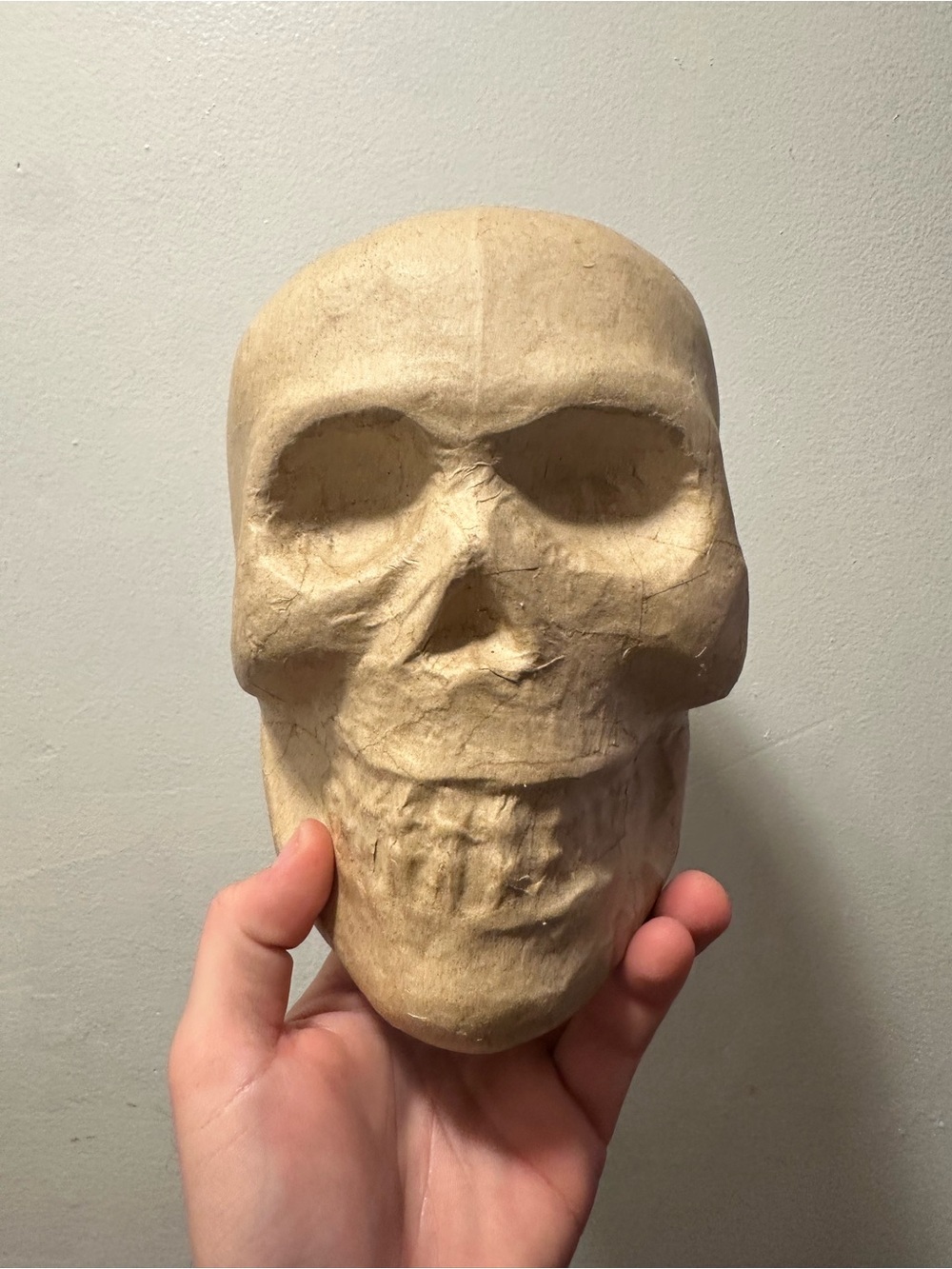 Neutral Cream Handcrafted Skull Sculpture for Home Art